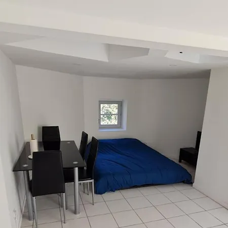 Daire Climatise Proche Chu Saint-Etienne (Loire)