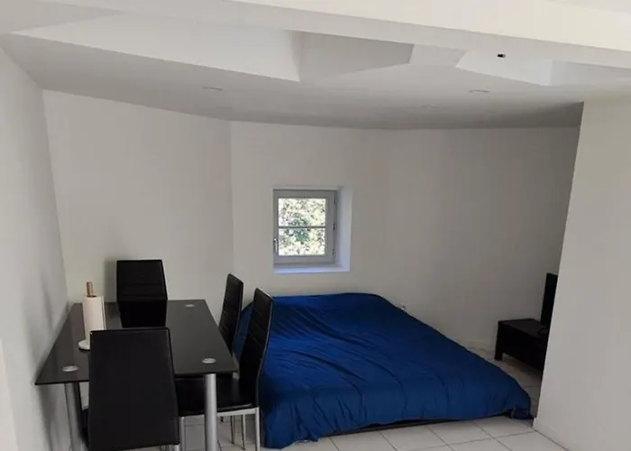 Apartamento Climatise Proche Chu Saint-Etienne (Loire)